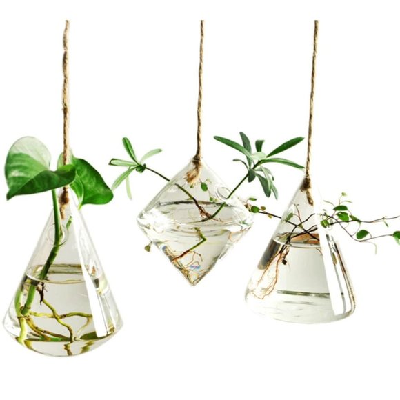 Accents 3 Pc Glass Vases Plant Cutting Rooting Hanging Vase Set